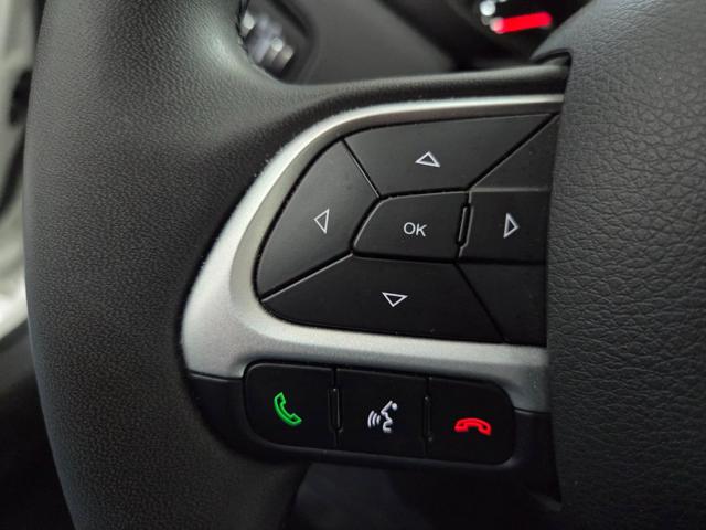 JEEP Renegade usata, con Cruise Control