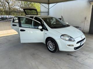 FIAT Punto usata 41