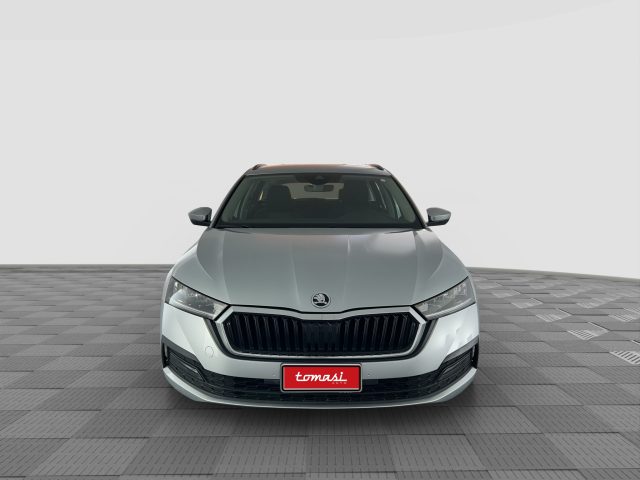 SKODA Octavia usata 7