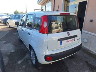 FIAT Pandina usata, con Airbag Passeggero