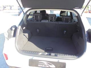 FORD Puma usata, con Bracciolo