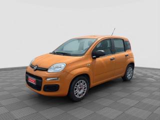 FIAT Panda Panda 1.0 firefly hybrid