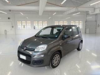 FIAT Panda 1.0 FireFly S&S Hybrid Easy