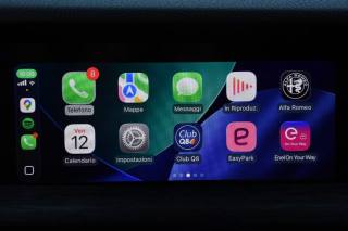 ALFA ROMEO Stelvio usata, con Controllo trazione