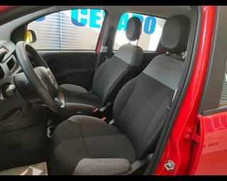 FIAT New Panda usata 12