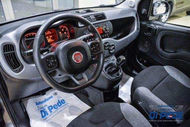 FIAT Panda usata 22