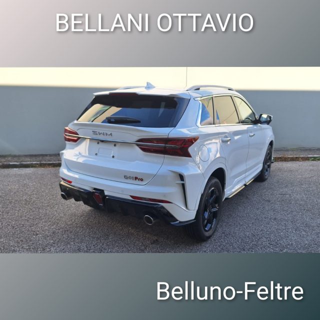 SWM G01 usata, con Alzacristalli elettrici