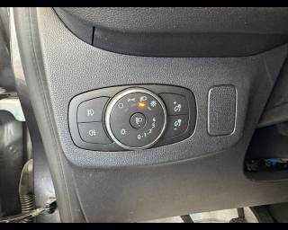 FORD Puma usata, con Interni in pelle