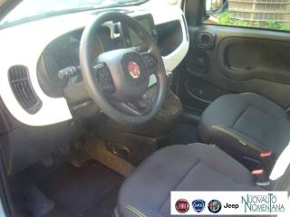 FIAT Pandina usata, con Volante in pelle