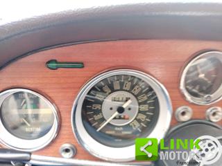 FIAT 2300 usata 14
