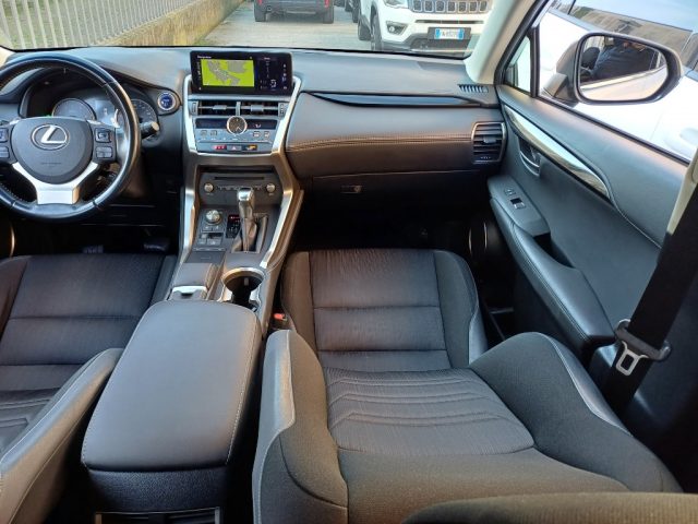 LEXUS NX 300 usata, con Cronologia tagliandi