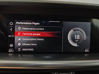 ALFA ROMEO Stelvio usata, con ESP