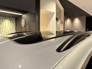 VOLKSWAGEN Tiguan usata, con Tettuccio apribile