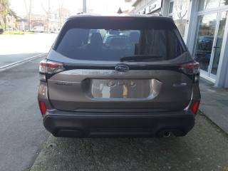 SUBARU Forester usata, con ESP