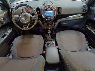 MINI Countryman usata, con Cronologia tagliandi