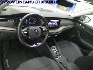 SKODA Octavia usata, con Leve al volante