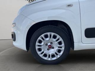 FIAT Panda usata 15