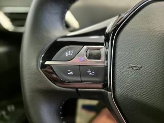 PEUGEOT 5008 usata, con Vetri oscurati