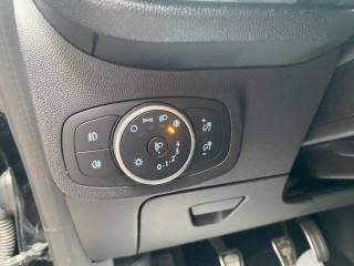 FORD Fiesta usata, con Fendinebbia