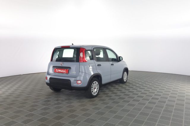 FIAT Panda usata 3
