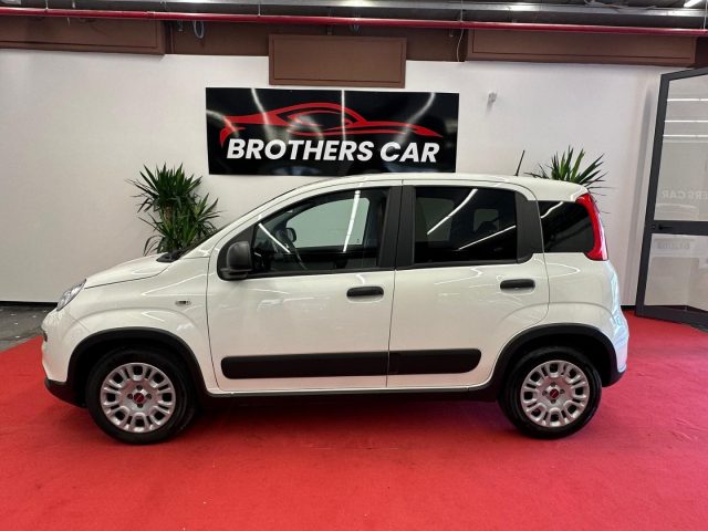 FIAT Panda usata, con Alzacristalli elettrici