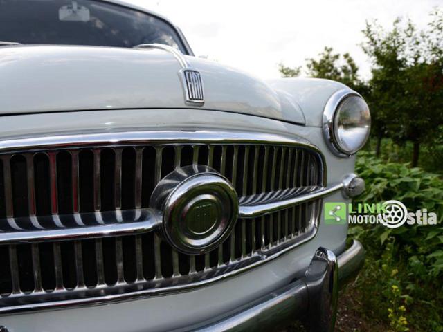FIAT 1100 usata 13