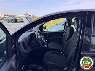 FIAT Panda usata, con Immobilizzatore elettronico