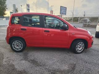 FIAT Panda usata, con Controllo trazione