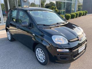FIAT Panda usata, con Airbag Passeggero