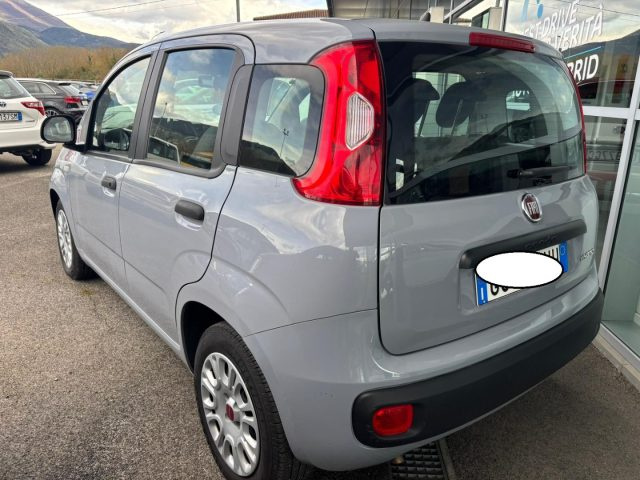 FIAT Panda usata, con Antifurto