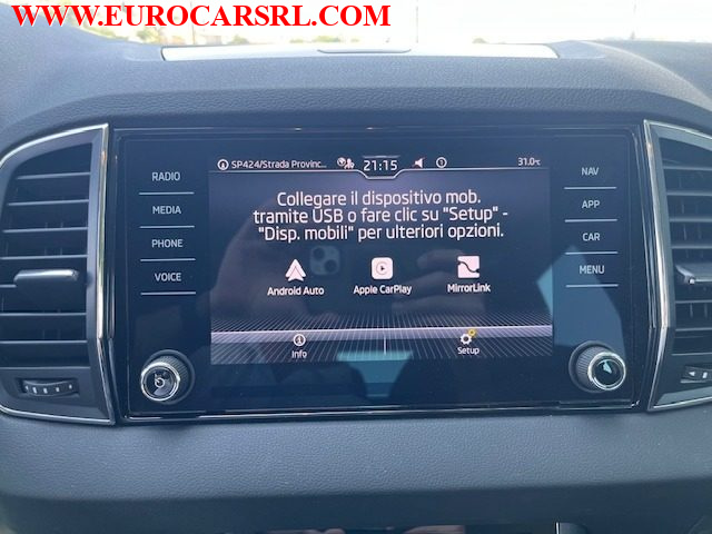 SKODA Karoq usata, con Autoradio digitale