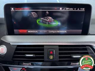 BMW X4 usata, con Cruise Control