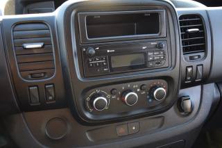 RENAULT Trafic usata 19
