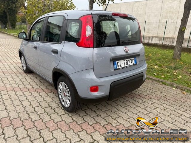 FIAT Panda usata, con Alzacristalli elettrici