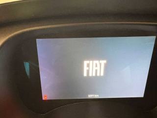 FIAT Panda Cross usata, con Airbag testa