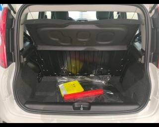 FIAT Panda usata 19
