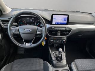 FORD Focus usata, con Cruise Control