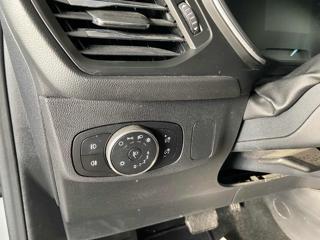 FORD Focus usata, con Cronologia tagliandi