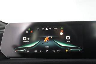 FORTHING T5 Evo usata 13