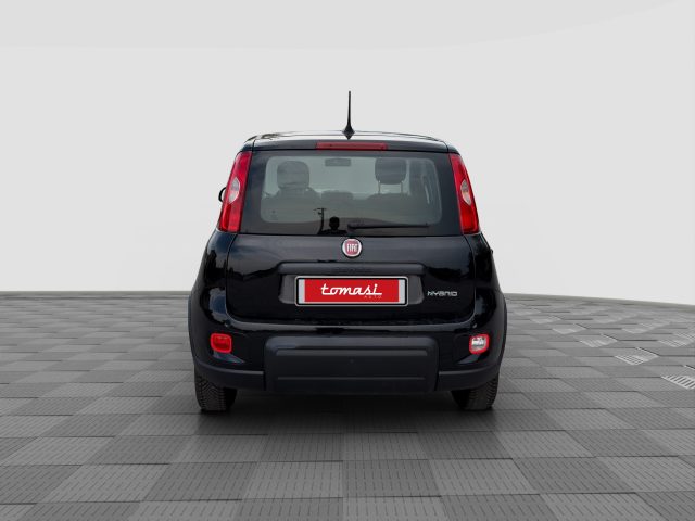 FIAT Panda usata 3