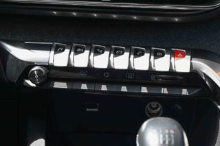 PEUGEOT 3008 usata, con Vetri oscurati