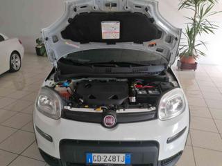 FIAT Panda usata 19