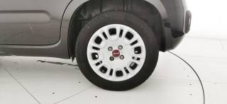 FIAT Panda usata 49