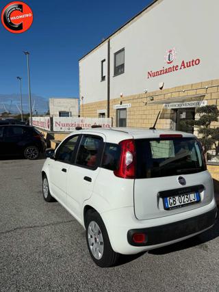 FIAT Panda usata, con Fendinebbia