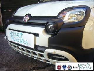 FIAT Panda Cross usata, con Alzacristalli elettrici