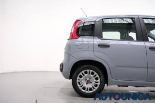 FIAT Panda usata 44