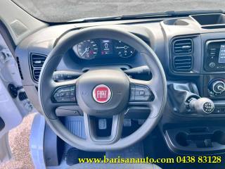 FIAT Ducato usata, con ESP