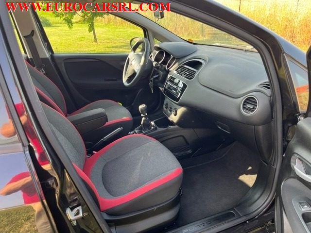FIAT Punto usata 16