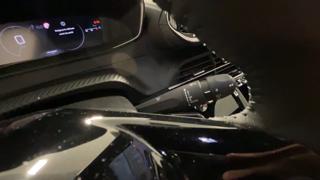 PEUGEOT 2008 usata, con Volante in pelle