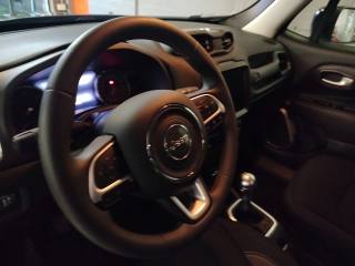 JEEP Renegade usata, con Autoradio digitale